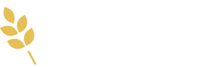 HP Pivo