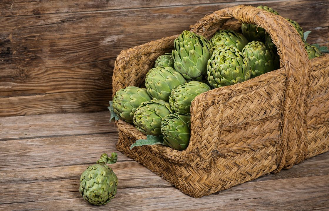 Nabízíme širokou škálu druhů piva