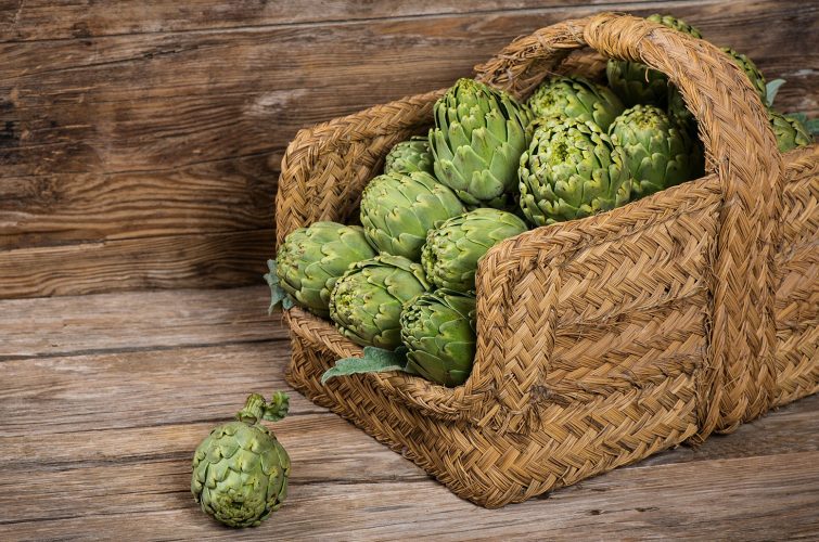 Nabízíme širokou škálu druhů piva