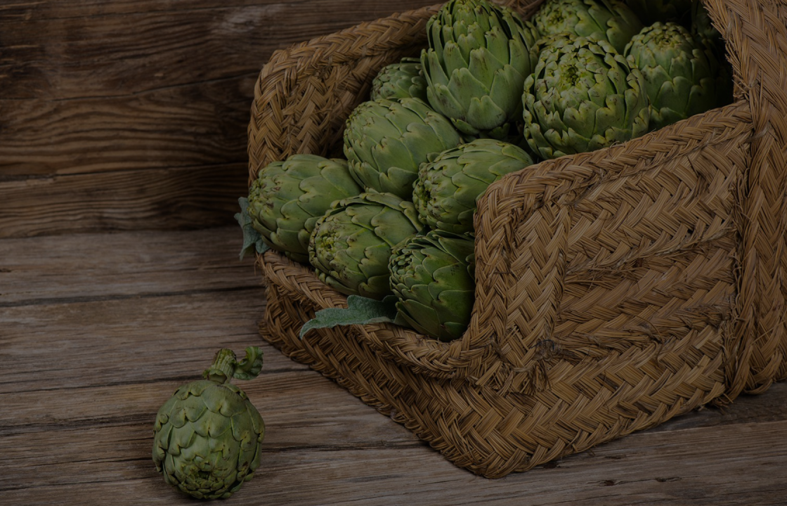 Nabízíme širokou škálu druhů piva